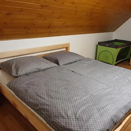 Orlice Apartment Cervena Voda