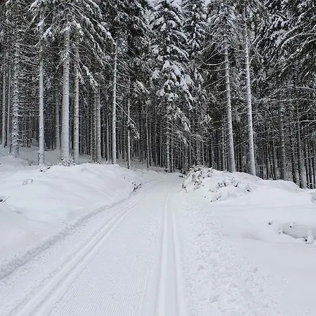 Orlice * Cervena Voda