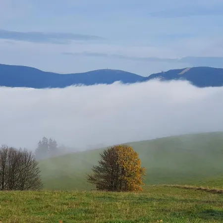 Apartmán Orlice Červená Voda