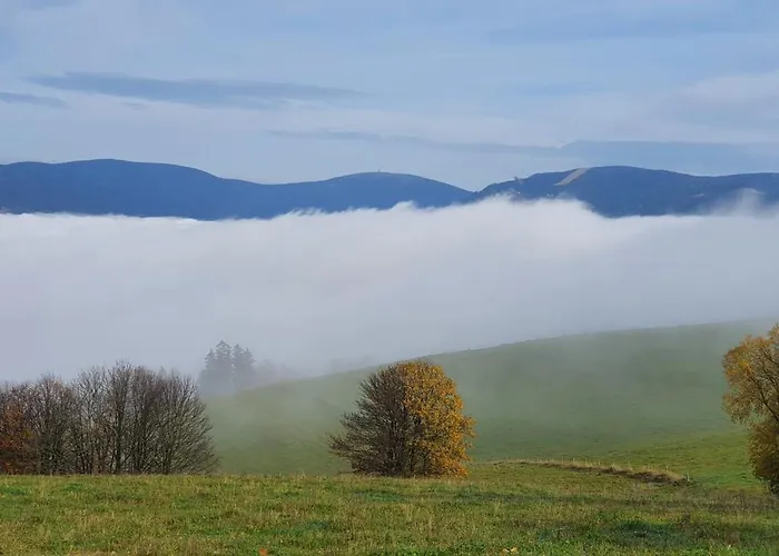 Lejlighed Orlice Červená Voda